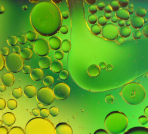 Biodiesel aus Algen erzeugen. Abwärme Bitcoin Mining